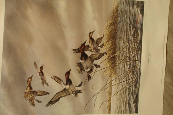 Manitoba Memory by James Meger 1