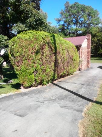 $270 / 3br - 1300ft2 - $270 a week for a shared house (South Nashville)63924810029570123
