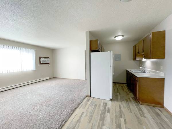 $765 / 2br - 620ft2 - Great Location, Heat Paid, 2bd 1ba (505 Park Street, Minot, ND)63862070388993122