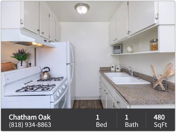 Convenient kitchen appliances and in sink disposal 1