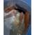 6 Severum 5-8” 2 thumbnail