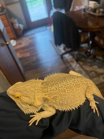 Looking for 4.2.2 or bigger enclosure! 1