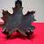 Ceramic Leaf - Rotondi - REDUCED 2 thumbnail