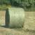250+ 4x6 Netwrap Round Bales of Hay 1 thumbnail