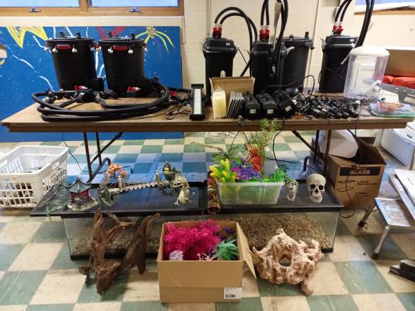 Aquariums and Fish Supplies 1