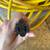 2 GFCI Extension Cords 3 thumbnail