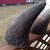 2 Rhinoceros Horn Sculptures. Made out of Plaster/Clay Not Signed 13 thumbnail