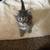 Kittens to a loving home 11 thumbnail