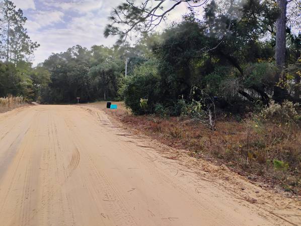 $13,500 / 25700ft2 - Nice Buildable 1/2 ac lot please check with county on usage is allowed (Interlachen)63822864694017121