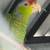 Parrot 2 thumbnail