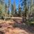 REDUCED!!  10 Plus Forested Acres, Good Well, Quiet, Water Storage 16 thumbnail
