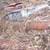 1961 Studebaker Champ Pickup — Part Out — Deming WA 4 thumbnail