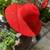 AMAZING HATS 7 thumbnail