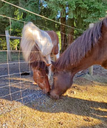 ISO self care boarding 1