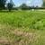 Fishing Hunting Paradise - 3 acres 9 thumbnail