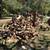 Firewood 4 thumbnail
