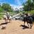Horseback Adventure - Lesson and Pics included 3 thumbnail