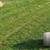 2025 Mixed Grass Hay For Sale 4 thumbnail