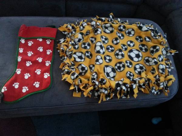 Puppy and Dog Items - - $3 (dublin / pleasanton / livermore)63471417015939120