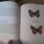 BOOK - "Beautiful Butterflies" - inc. 56 color plates, entomology 6 thumbnail