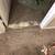 $29 Deep Carpet Cleaning Tile And Grout Carpet Repair Pet Stain & Odor 6 thumbnail
