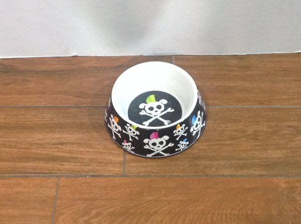 Dog Bowl 1