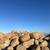 BIG PRICE REDUCTION Pebble Beach Golden Granite 2 thumbnail