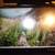 Used HP EliteDisply S14 14"FHD Portable USB-C Disply W USB-C Cable 1 thumbnail