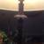 Beautiful  colonial monkey wearing hat palm tree Lamp 3 thumbnail