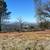 80 Acres Near Lake Oroville 10 thumbnail