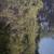 .32 acre vacant building lot 2 thumbnail