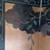 RARE SHOW HOME Double-Sided Asian Hand-Painted Screen, Cranes & Pines 9 thumbnail