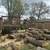 Smith's Tree Service. And stump removal. Land clearing . 15 thumbnail