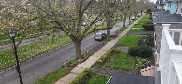 Spacious Apt on Oxford Mall - 1 BR 1