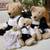 Antique STEIFF BEARS BLANK BUTTON 16 thumbnail