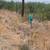 NEARLY 40 ACRES IN WINE COUNTRY 2 thumbnail