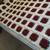 Maroon 3-D Rose on White, Afghan Twin Bed Spread or Blanket, Washable 5 thumbnail