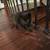 kittens white and black   cat cats 4 thumbnail