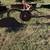 Farmall Cub Plow 1 thumbnail