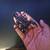 Scorpions 1 thumbnail