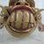 Balinese Hand Crafted Wooden Topeng Demon Mask Wall Decor 4 thumbnail