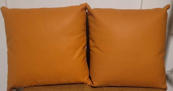 Cute Decorative Orange Throw pillows 1