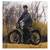 ☆ Jasion EB5 MAX Electric Bike for Adults with 2000W Peak Motor, 48V 1 10 thumbnail