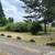 Fall Clean Ups / Landscaping / Field Mowing 6 thumbnail