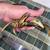 Vintage Solid Brass Crab AshTray Ocean Sea Beach Accessory Cigarette 18 thumbnail