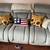 Couch set 1 thumbnail