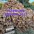 FIREWOOD 7 thumbnail