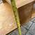 Modernist 2 tiered end table by Leslie Diamond for Conant Ball A144 12 thumbnail