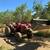 DX55 Case Tractor 3 thumbnail