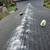 🏠Roof cleaning🏠Gutter cleaning💦Pressure Washing🪟Windows Cleaning 17 thumbnail